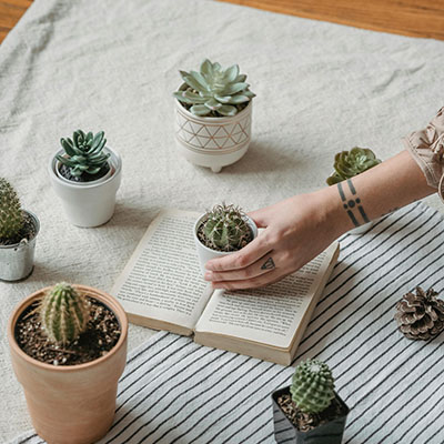 At Home Credit: A Guide to Loan Security Measures