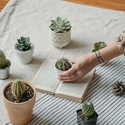 Credit 4 Work Employee Login: Common Errors & Fixes