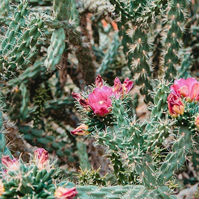 Credit 89 Credit Repair: Real User Experiences